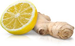 Ginger PNG-16805